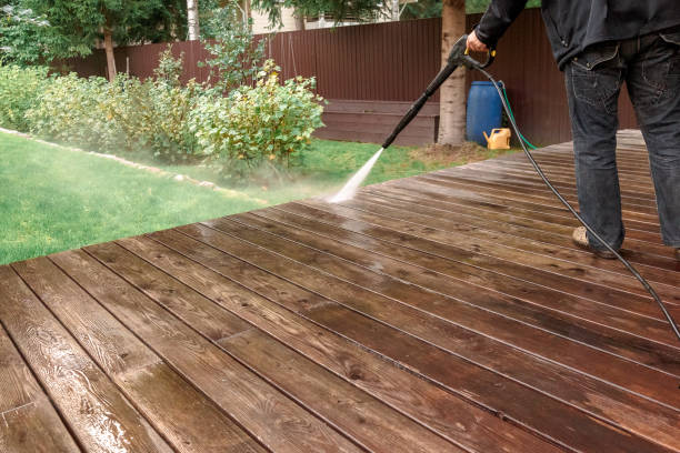 Best Driveway Pressure Washing  in Buena, NJ
